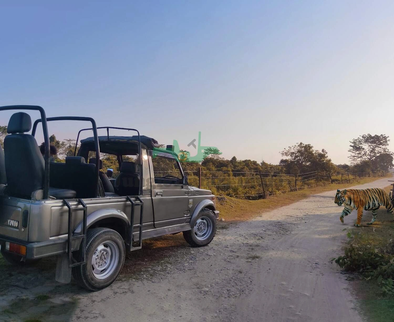 Ranthambore Tour Package with 1 Gypsy Safari